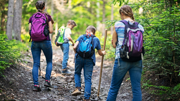 Eine Frau wandert mit drei Kindern/Jugendlichen (zwei Jungs, ein Mädchen) durch den Wald im Frühling. Alle sind von hinten zu sehen, wie sie einen Berg / eine Anhöhe hochgehen.