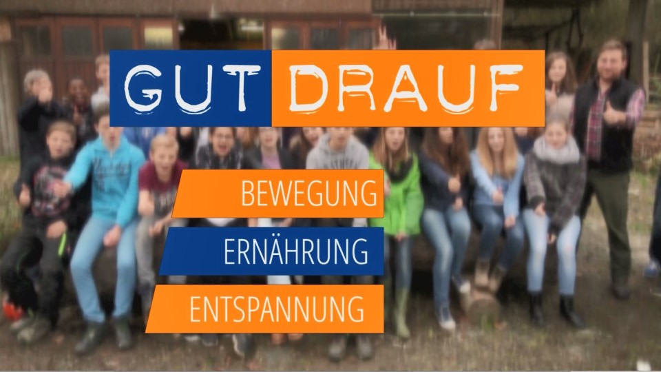 Teaserbild zum Eintrag 'GUT DRAUF - Der Impulsfilm'