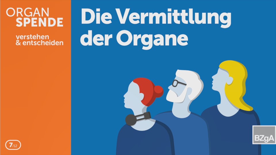 Teaserbild zum Eintrag 'Podcast ORGANSPENDE – verstehen & entscheiden'